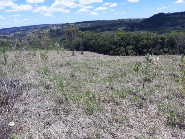 #12 - Chácara para Venda em Sorocaba - SP - 2